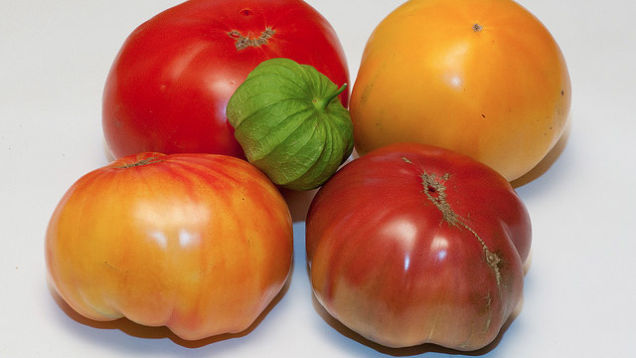 Hack #55: Slow Down rotting tomatoes