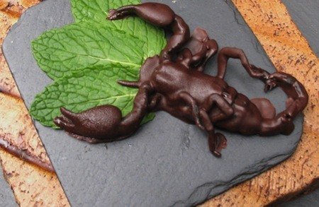 Chocolate-Dipped Insects