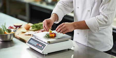 Commercial Scale Guide