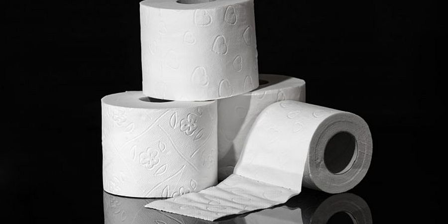 The Different Types of Commercial Toilet Paper Dispensers and Holders