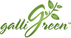 Brand GalliGreen logo