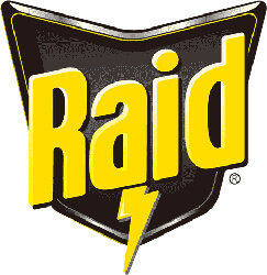 Brand Raid logo