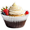 Baking Cups & Liners