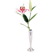 WLOU325 Walco, 7.4" Soprano™ Stainless Steel Bud Vase