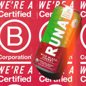 Runa 700066 Wild Black Cherry Organic Energy Drink