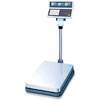 CAS Scales EB-300, part of GoFoodservice's collection of CAS Scales products