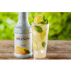 Monin M-RP248F image 1