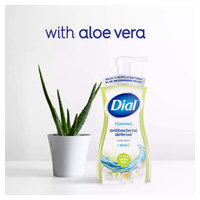 Dial 1700034733 image 5