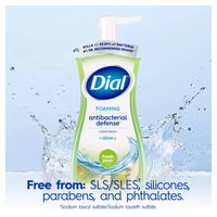 Dial 1700034721 image 4