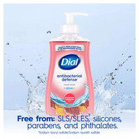 Dial 1700020943 image 3