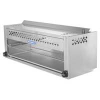 Radiance TACM-48, part of GoFoodservice's collection of Radiance products