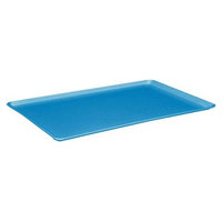 MFG Tray 325301 1420