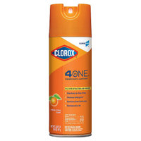 CloroxPro 31043