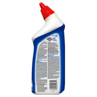 CloroxPro 00031 image 1