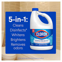 Clorox 32263 image 2