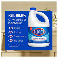 Clorox 32260 image 2
