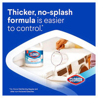 Clorox 32411 image 1