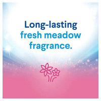 Clorox 32387 image 2