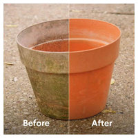Clorox 32438 image 4