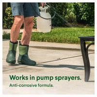 Clorox 32437 image 1