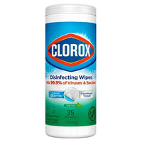Clorox 01593, part of GoFoodservice's collection of Clorox products