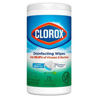 Clorox 01656, part of GoFoodservice's collection of Clorox products