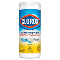 Clorox 01594, part of GoFoodservice's collection of Clorox products