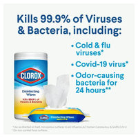 Clorox 01594 image 2