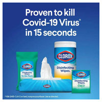 Clorox 60133 image 1