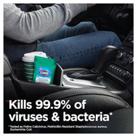 Clorox 60133 image 2