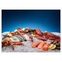 Hoshizaki F-330BAK image 3