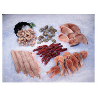 Scotsman UF424AX-1 image 4