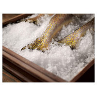 Scotsman UF424WX-1 image 5