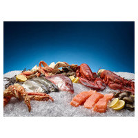 Hoshizaki F-422MAK image 6