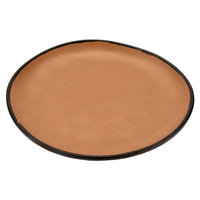 GET CS-100-TP image 1