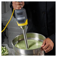 Hamilton Beach HMI009 image 2