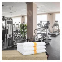 Hospeco PWR-1627-3GLDCS image 4