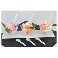 AmerCareRoyal RTS3000 image 2