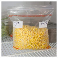 Handgards 304985463 image 1