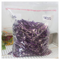 Handgards 304985464 image 1