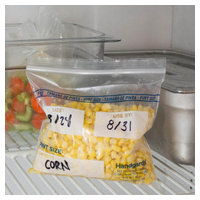 Handgards 304985461 image 1